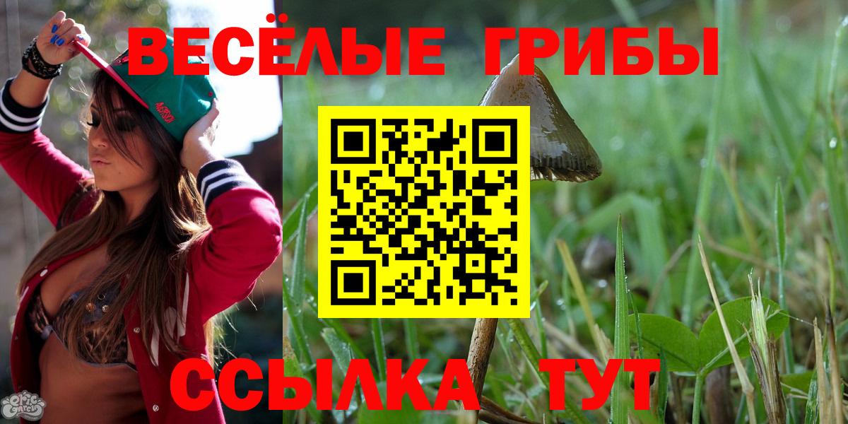 Галлюциногенные грибы Magic Shrooms Богданович